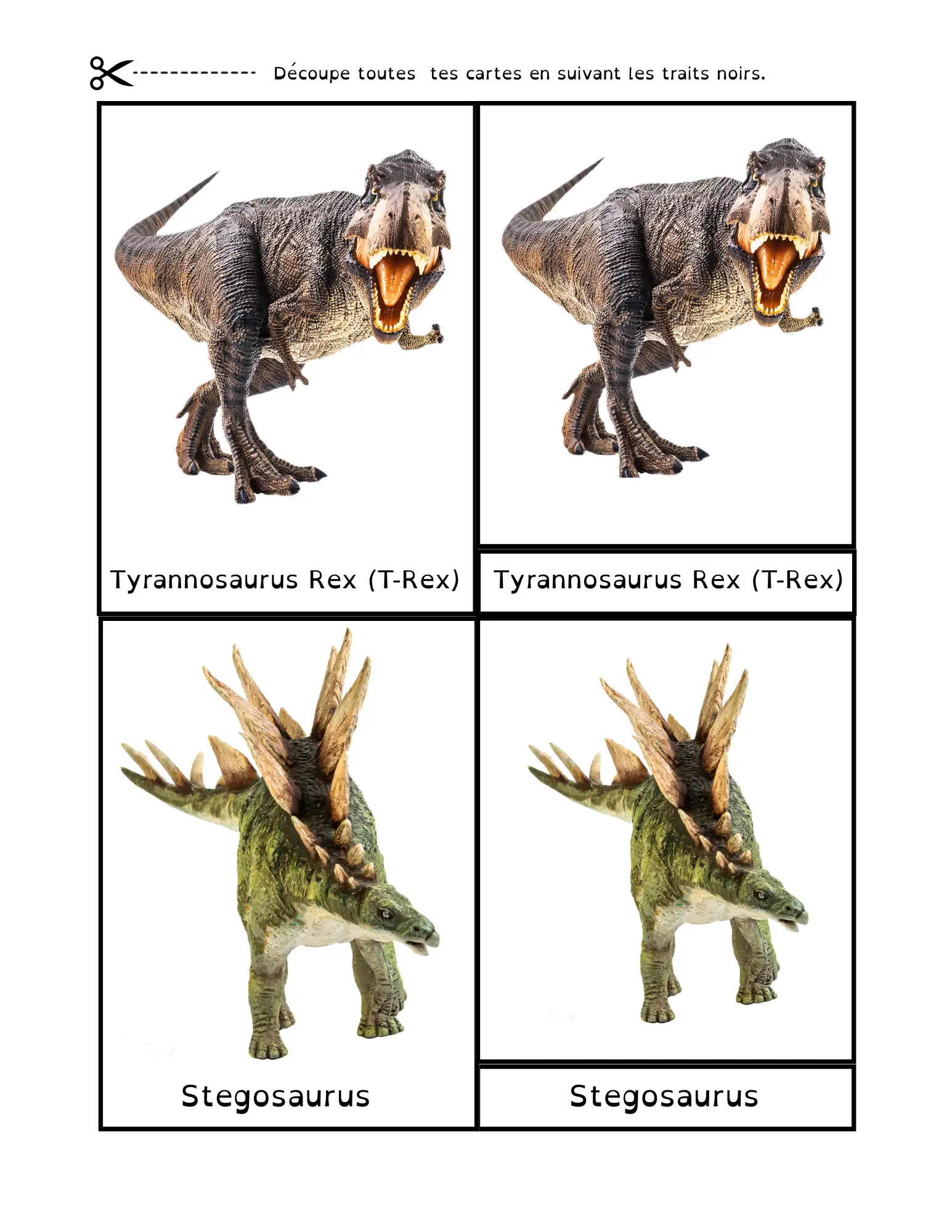nomenclature dinosaures